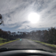 This is a poor photo of me stopped for some cows on the road. Shows how the grass has returned after the fires